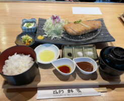 呑めるとんかつ屋 林家 刈谷市とんかつ